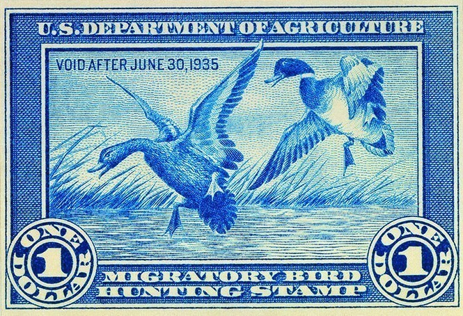 Image 14 - 1stDuckStamp.jpg