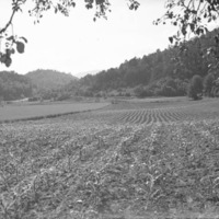 Landscape View of Indian Farm